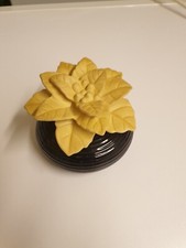 Partylite Duftblume Duftöl Set