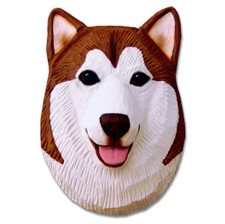 Alaska schlittenhund kopf - schlittenhund,