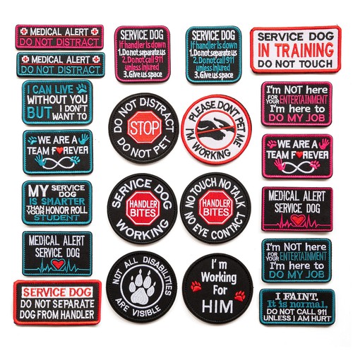 Service dog patch therapy - service,