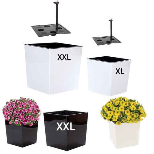 Blumenkübel pflanzkübel - blumenkübel,