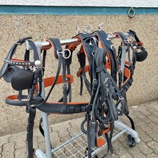 Top  Leder Zweispänner