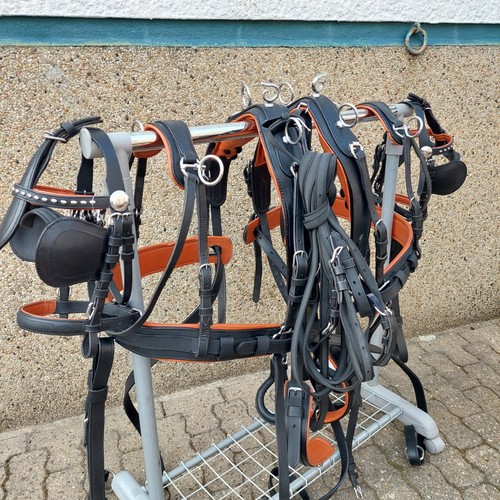 Top leder zweispänner - leder,