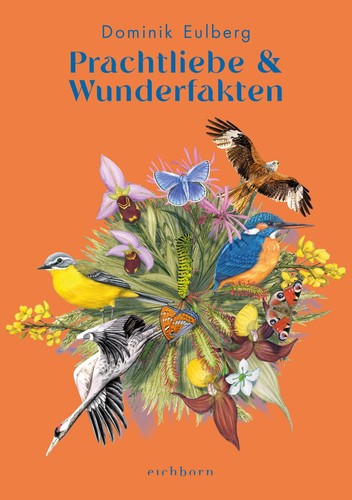 Prachtliebe wunderfakten - prachtliebe,