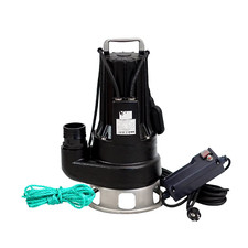 1500W Professionelle