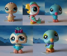 LPS Littlest Pet Shop #13-87-1539-1569-2144 Küken, Papagei, 2 x Kolibri und Eule