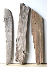 Treibholz Schwemmholz