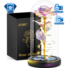 Ewige rose personalisiert - rose,