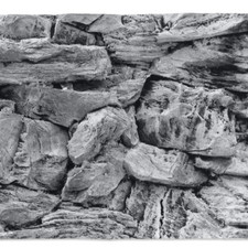 3D Aquarium Rückwand –