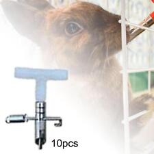 Automatischer Kaninchen Nippel Wasser Futterautomat Tränke Tränke für Meerschweinchen Häschen