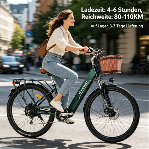 250 citybike bike - e-bike,