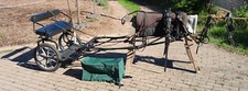Pony Sulky mit Geschirr