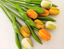 9 Holland Holztulpen Tulpen