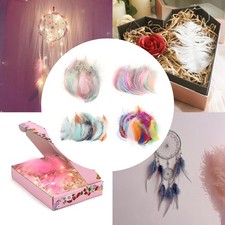 200 Stück Natürliche Bunte