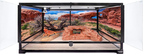 36lx18wx18h large terrarium - ,,