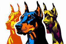 Retro Blechschild DOBERMANN 30 x 20 cm Metallschild Vintage (2936)