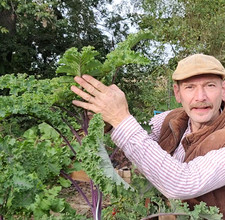 Grünkohl Altmärker Braunkohl Violette alte robuste Sorte bis zu 2 m hoch  Samen