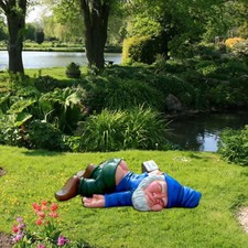 Lustige Gartenzwerge Skurrile