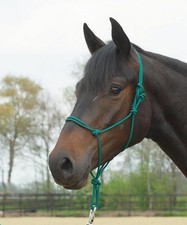   Busse Knotenhalfer Standard