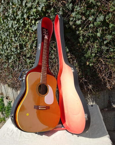 Gitarre ariana mexiko 102 - gitarre,