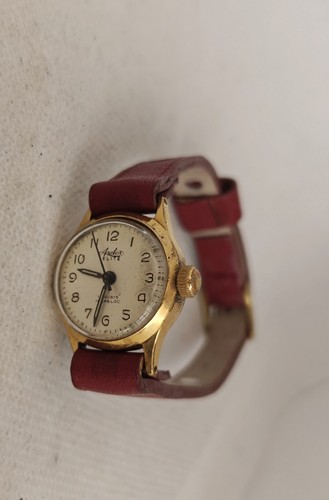 Arctos elite rubis incabloc - elite,