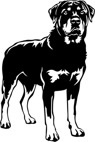 Rottweiler aufkleber - rottweiler,