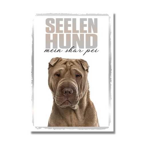 Shar pei seelenhund - seelenhund, schild