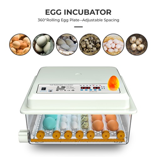 Inkubator vollautomatische - inkubator,