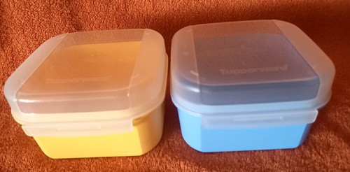 Tupperware x mini - tupperware,
