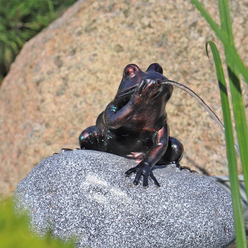 Clgarden wasserspeier frosch - clgarden,