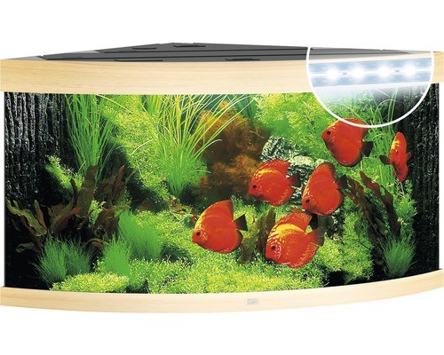 Aquarium juwel trigon 350 mit - 350,