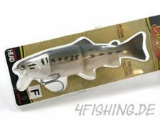 Castaic Hard Head Real Bait 9