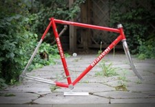 Bianchi Campione del Mondo Pursuit Frame / 55 cm Red / 26" Fork LoPro Verfolger