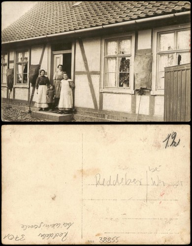 Reddeber wernigerode - reddeber,