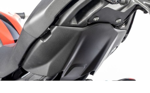 Sottocodone carbon 100 ducati - carbon, 100%