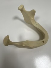 kunststoffkiefer Implantate Zahnmedizin Demomodell