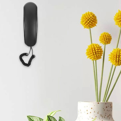 Wall mountable phone - mountable, for