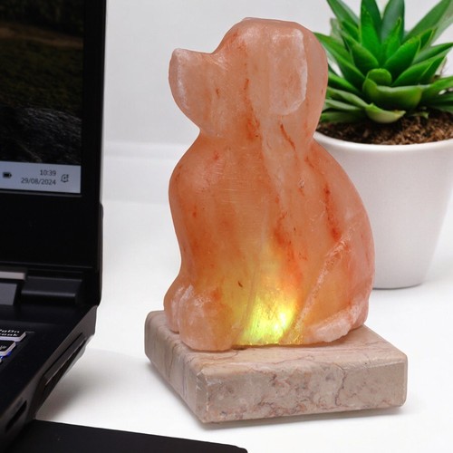 Usb hundeform - usb,