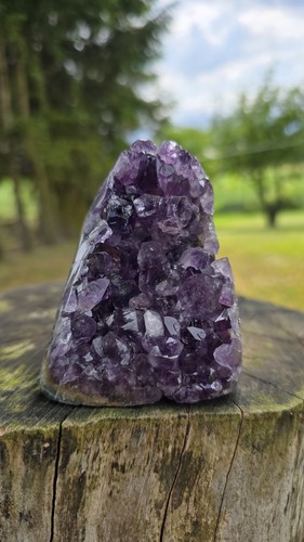 Amethyst cluster 478g - amethyst,