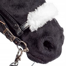 Island. Trense für Hobby