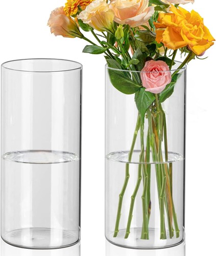 Glaszylinder vase stück 20 - glaszylinder,