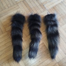 3 waschbaer - schweife -