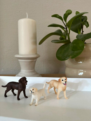 Schleich labrador - schleich, 3x