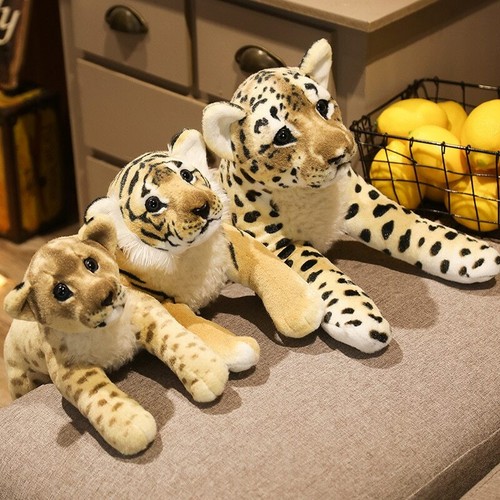Löwe tiger leopard - löwe,