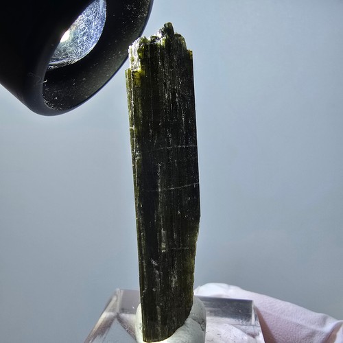 Seltener wasssermelonen - seltener,