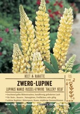 Lupinus kronleuchter lupine - lupinus, "kronleuchter",