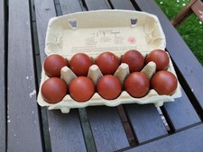 10 Bruteier  Marans Rotleger