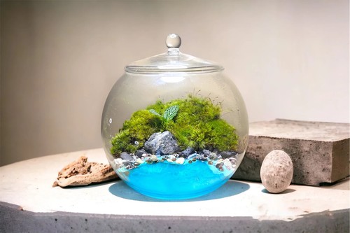 Terrarium with resin river - terrarium,