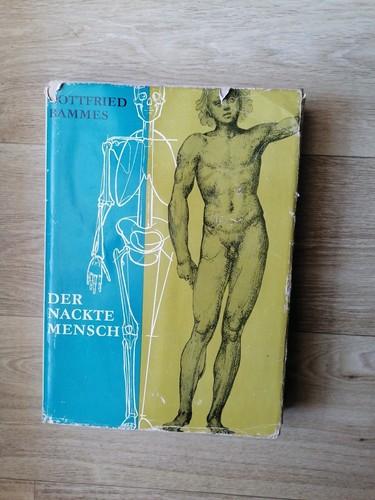 Der nackte mensch hand - hand-, und