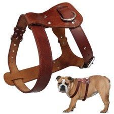 Echtes leder hundegeschirr - echtes,