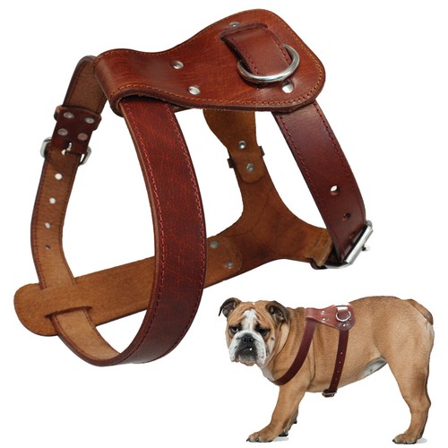 Echtes leder hundegeschirr - echtes,